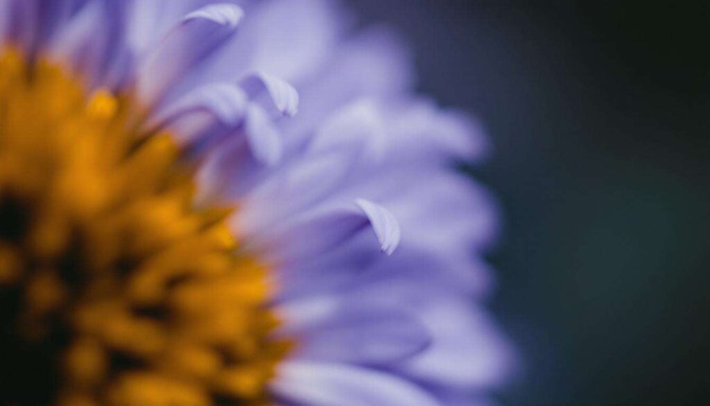 Quel gain avec 2 bons numéros au Loto ?